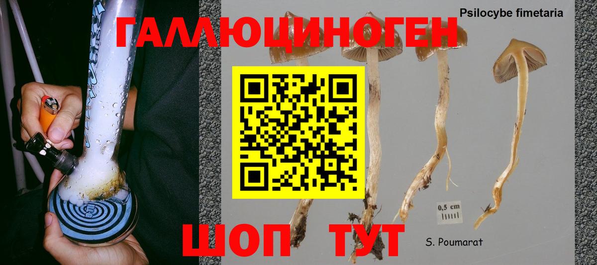 Псилоцибиновые грибы Cubensis  Вход с VPN  Сургут 